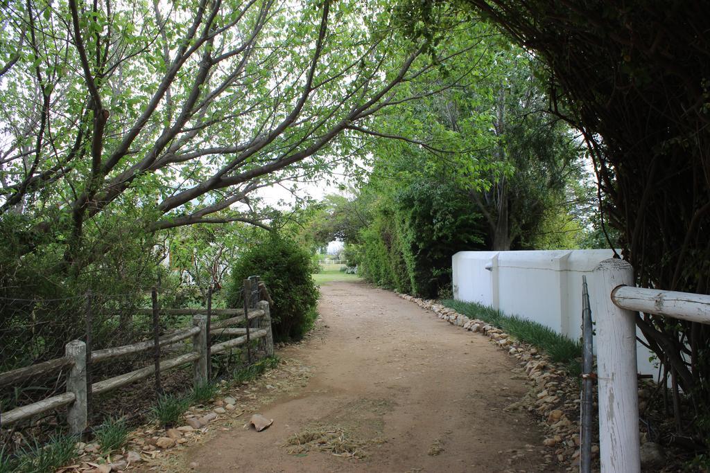 Acacia Cottage برنس ألبرت المظهر الخارجي الصورة