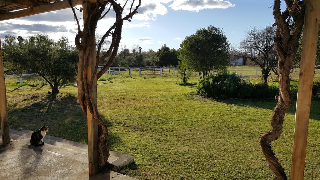 Acacia Cottage برنس ألبرت المظهر الخارجي الصورة
