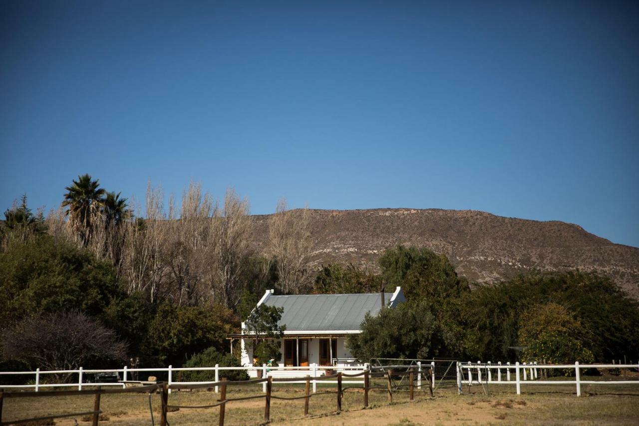 Acacia Cottage برنس ألبرت المظهر الخارجي الصورة